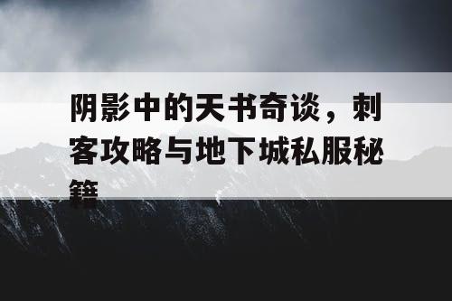 阴影中的天书奇谈，刺客攻略与地下城私服秘籍