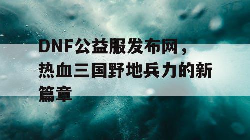 DNF公益服发布网，热血三国野地兵力的新篇章