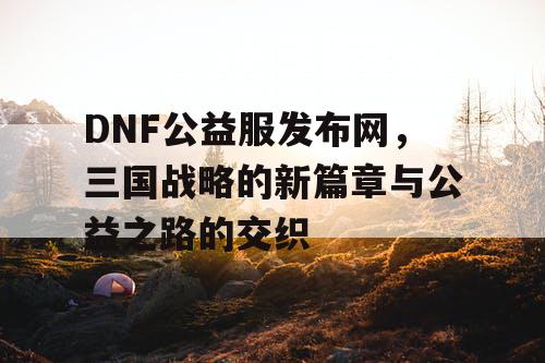 DNF公益服发布网，三国战略的新篇章与公益之路的交织