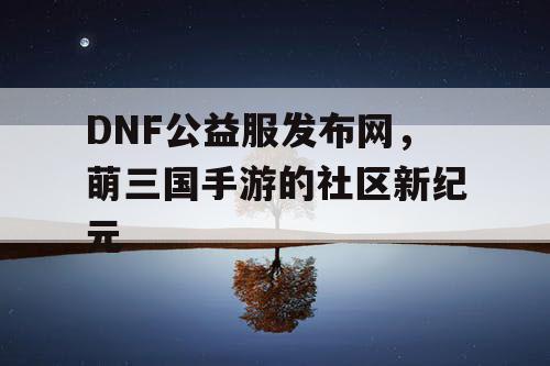 DNF公益服发布网，萌三国手游的社区新纪元