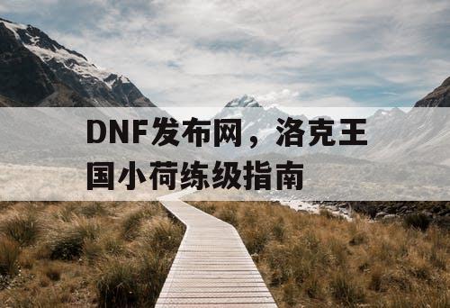 DNF发布网，洛克王国小荷练级指南