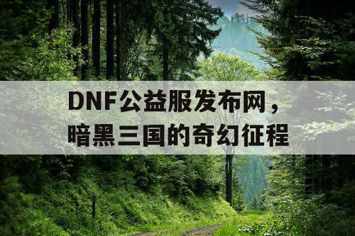 DNF公益服发布网，暗黑三国的奇幻征程