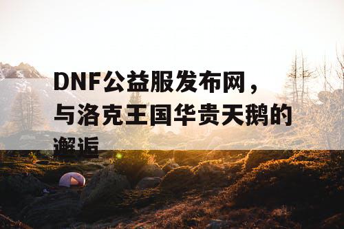 DNF公益服发布网，与洛克王国华贵天鹅的邂逅