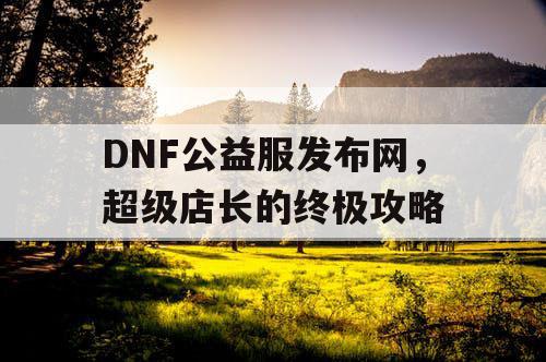 DNF公益服发布网，超级店长的终极攻略