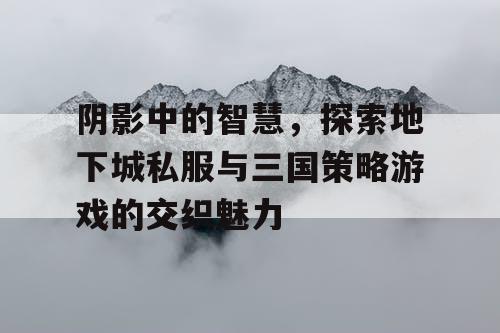 阴影中的智慧，探索地下城私服与三国策略游戏的交织魅力